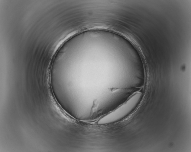 X0000116260806200912211735