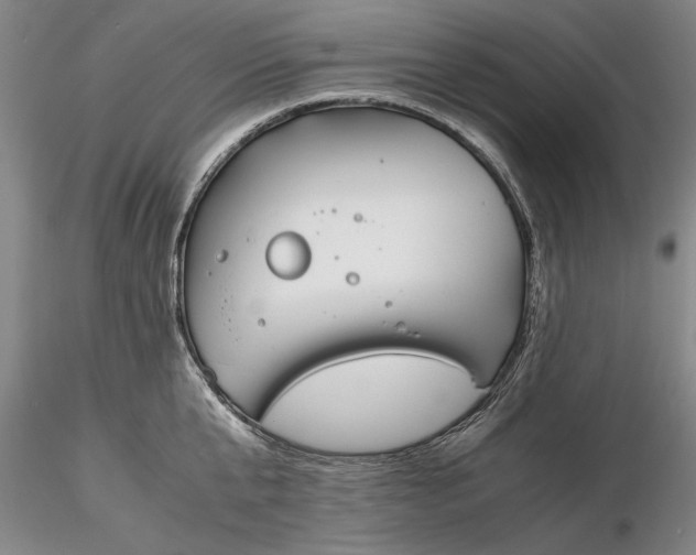 X0000116260807200912211735