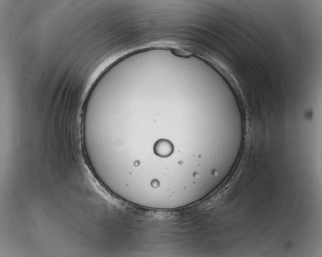 X0000116260808200912211735
