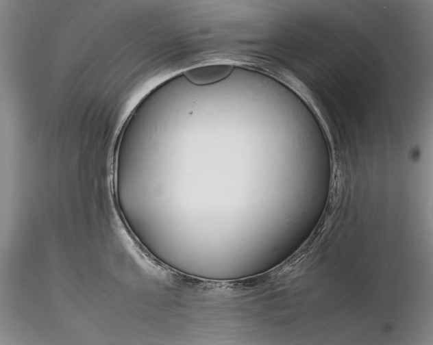 X0000116260811200912211735