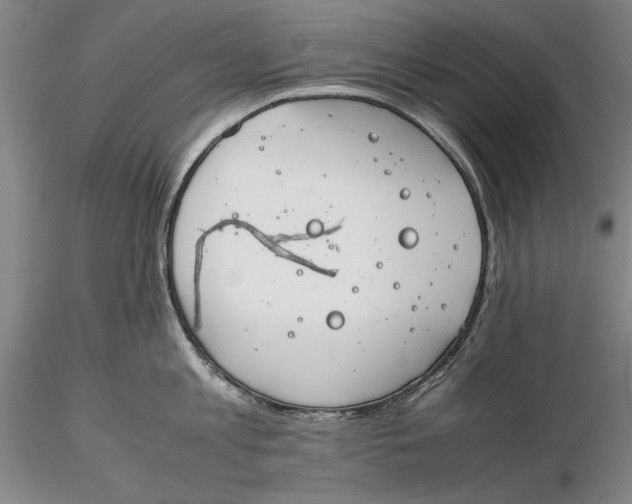X0000116260813200912211735