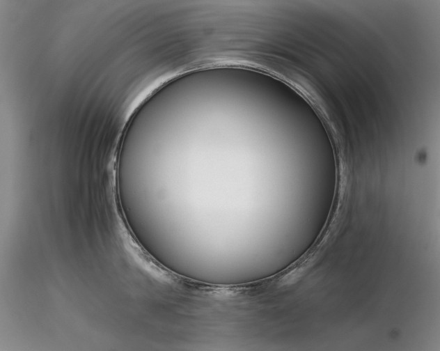 X0000116260814200912211735