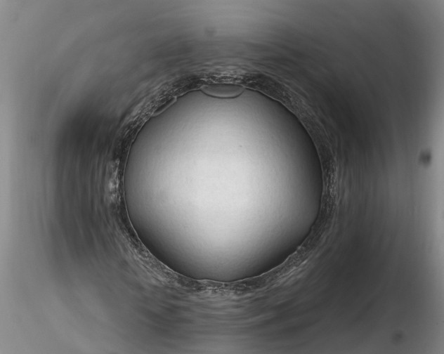 X0000116260818200912211734
