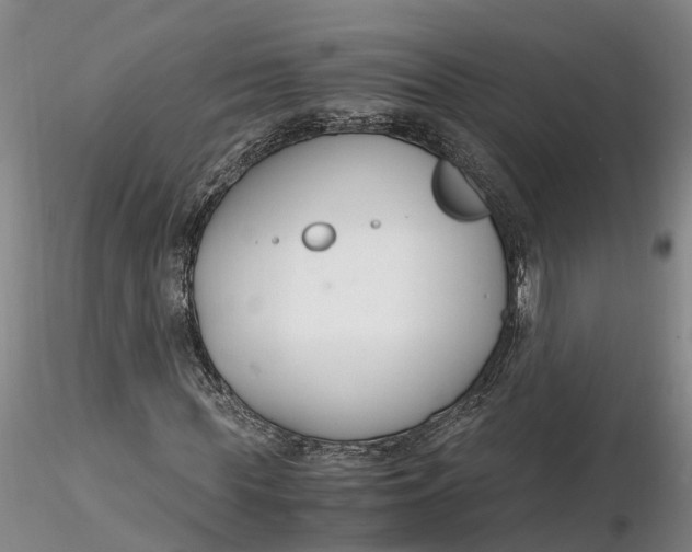 X0000116260819200912211734