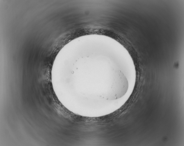 X0000116260820200912211734