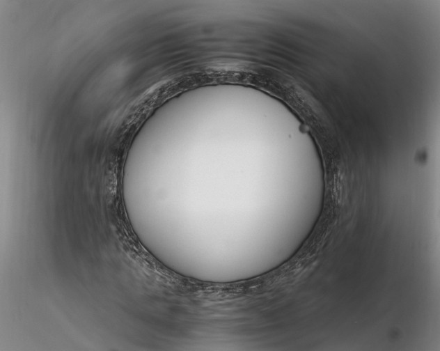 X0000116260821200912211734