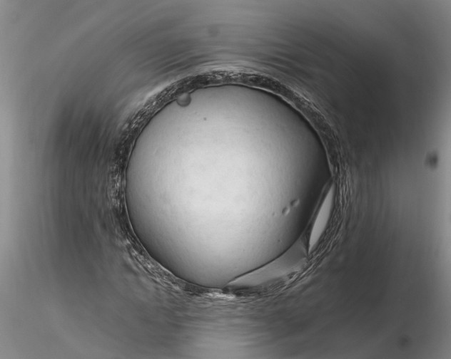 X0000116260822200912211734