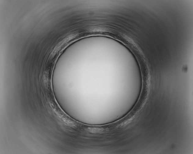 X0000116260825200912211734