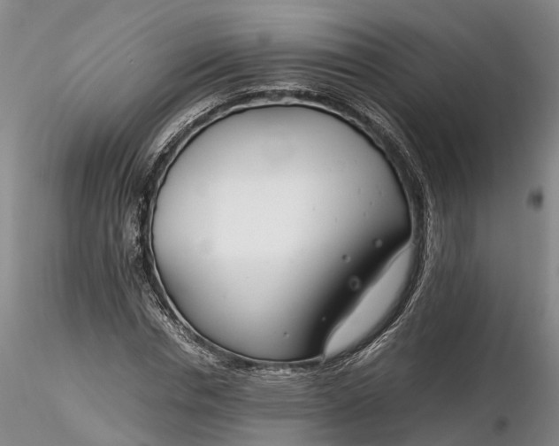 X0000116260826200912211734