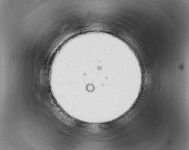 X0000116260828200912211734