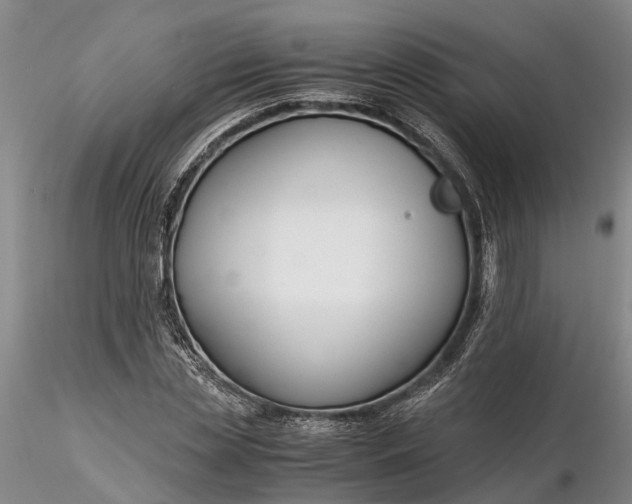 X0000116260829200912211734