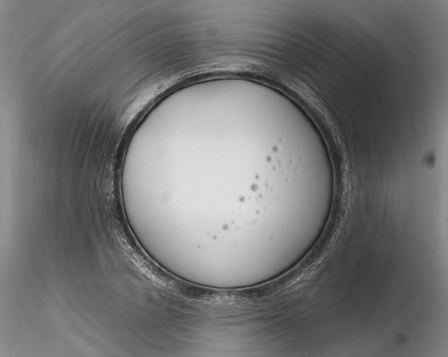X0000116260834200912211735