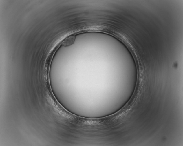 X0000116260835200912211735