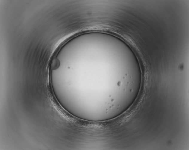 X0000116260838200912211735