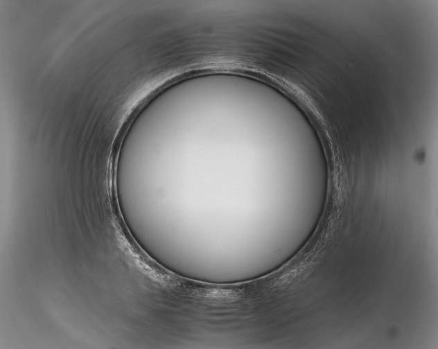 X0000116260839200912211735
