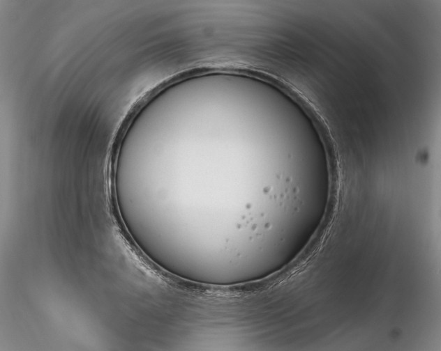 X0000116260840200912211735