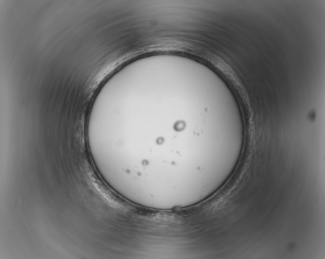 X0000116260842200912211735