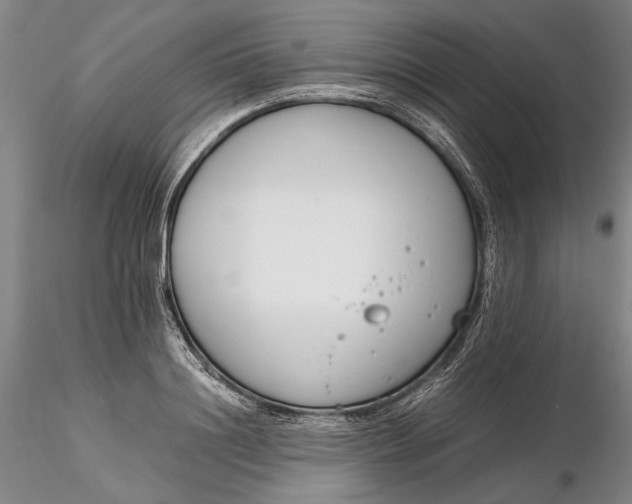 X0000116260844200912211735