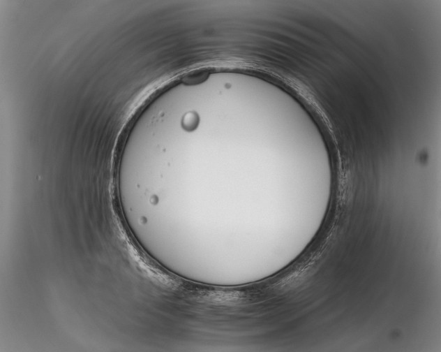 X0000116260845200912211735