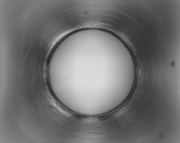 X0000116260846200912211735