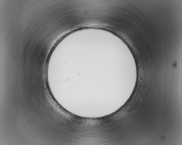 X0000116260848200912211735