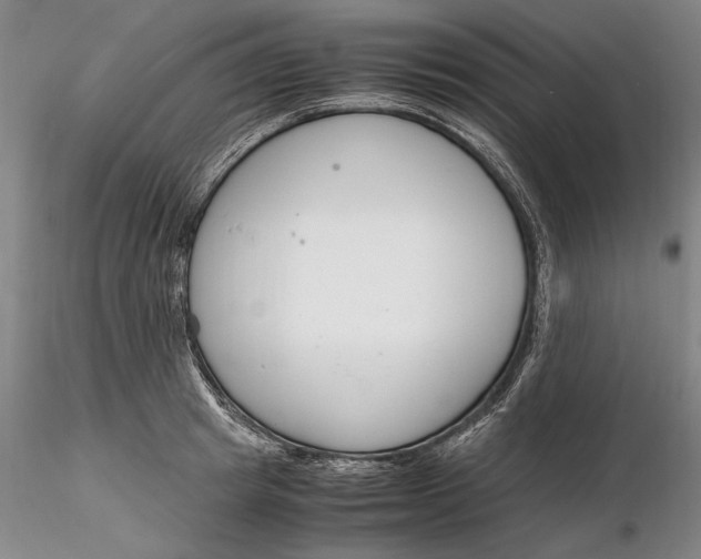 X0000116260849200912211735