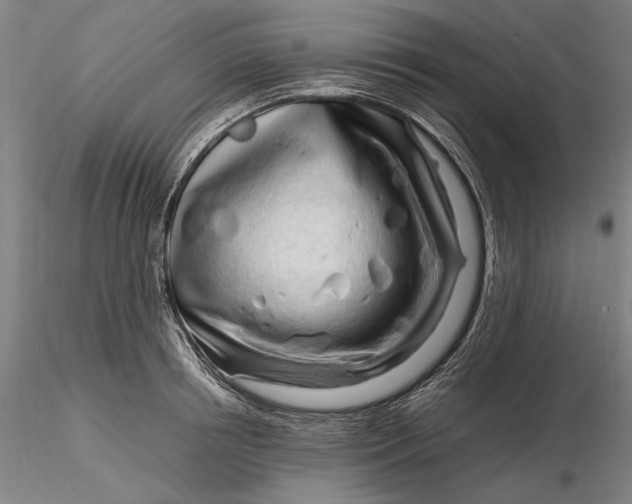X0000116260850200912211735