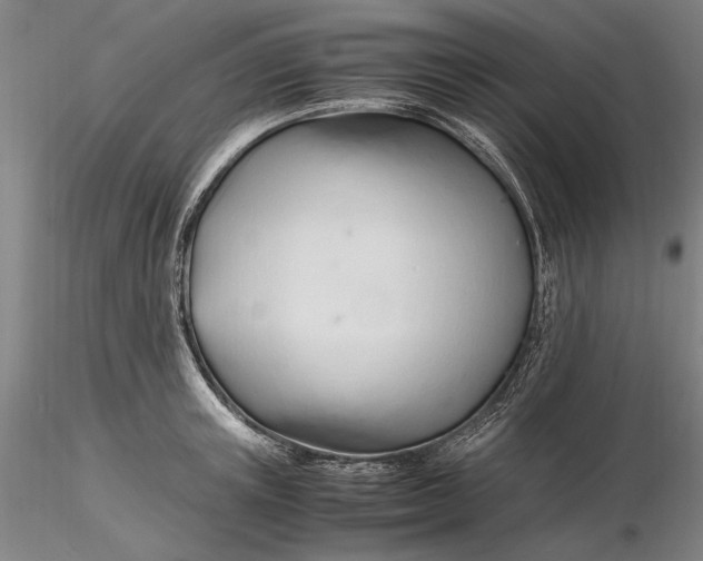 X0000116260851200912211735