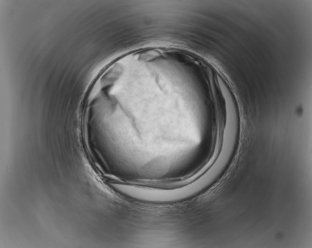 X0000116260854200912211735
