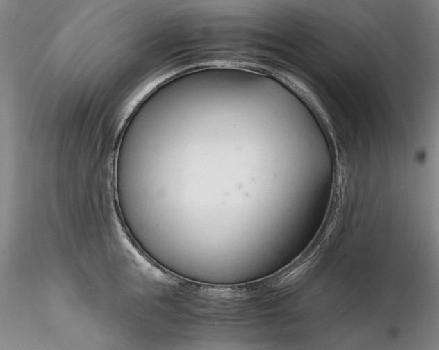 X0000116260855200912211735