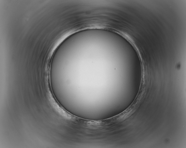 X0000116260859200912211735
