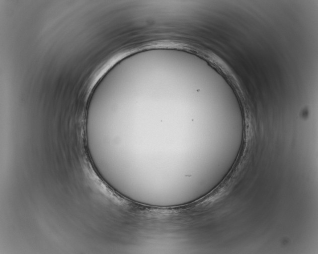 X0000116260860200912211735