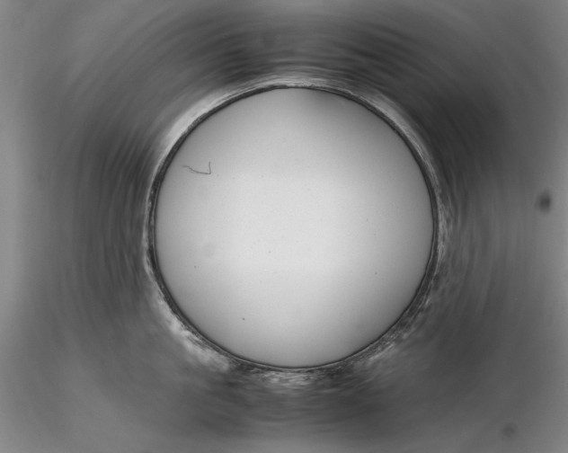 X0000116260861200912211735