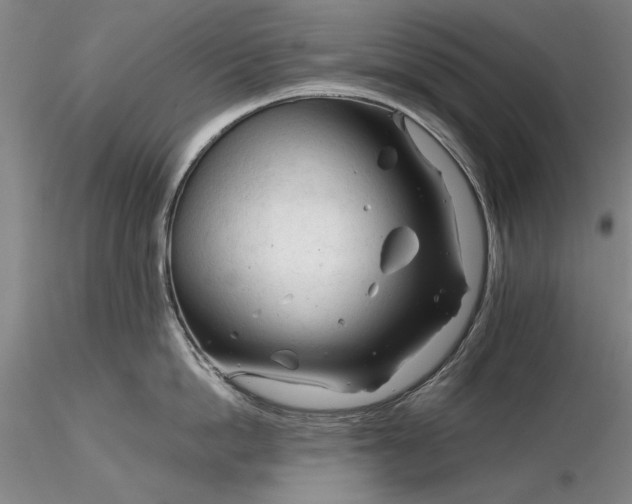 X0000116260862200912211735