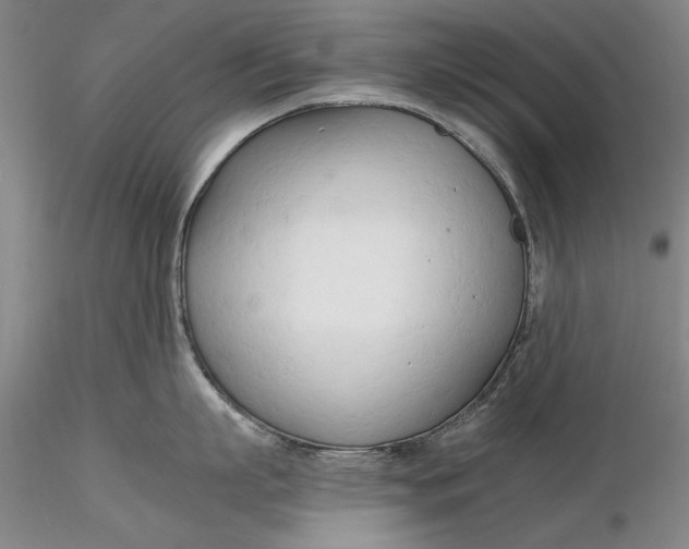 X0000116260863200912211735