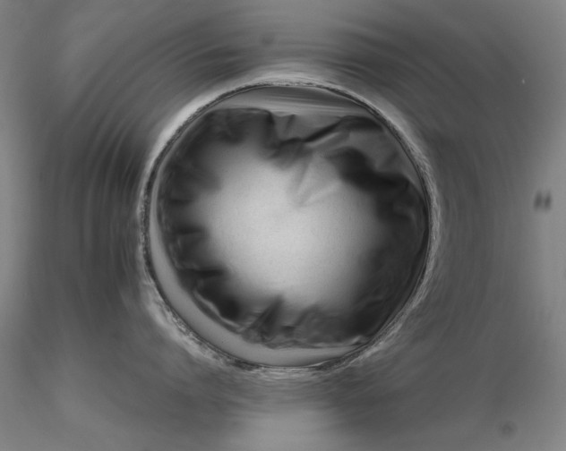 X0000116260864200912211735
