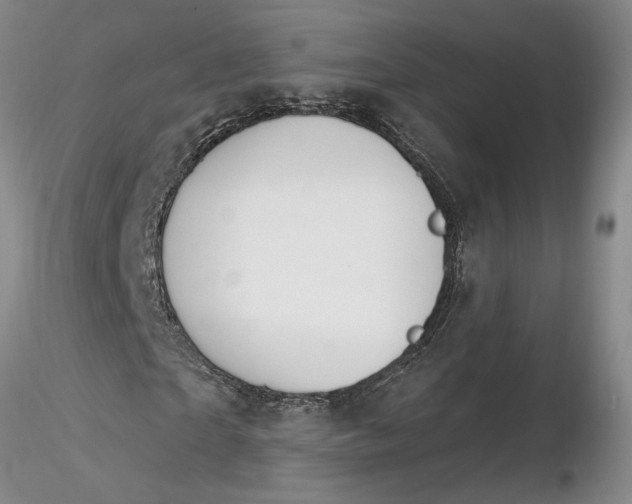 X0000116260865200912211734