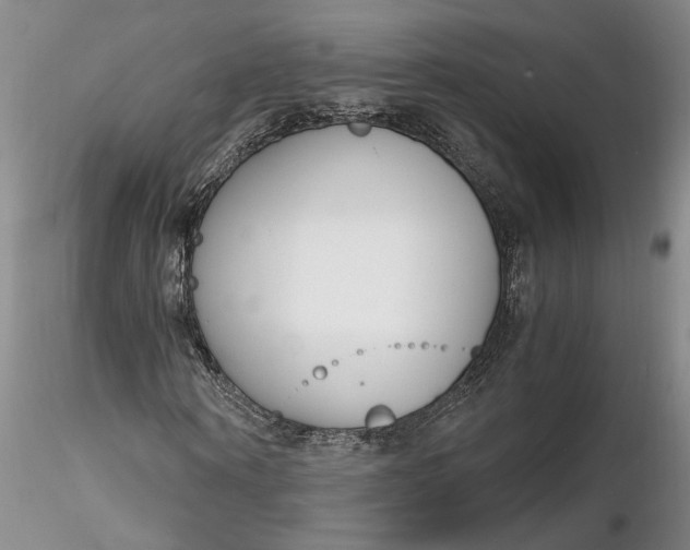 X0000116260866200912211734