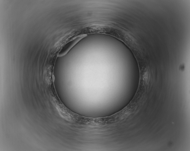 X0000116260868200912211734