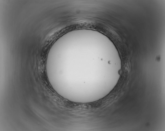 X0000116260869200912211734