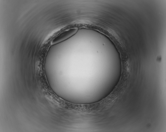 X0000116260872200912211734