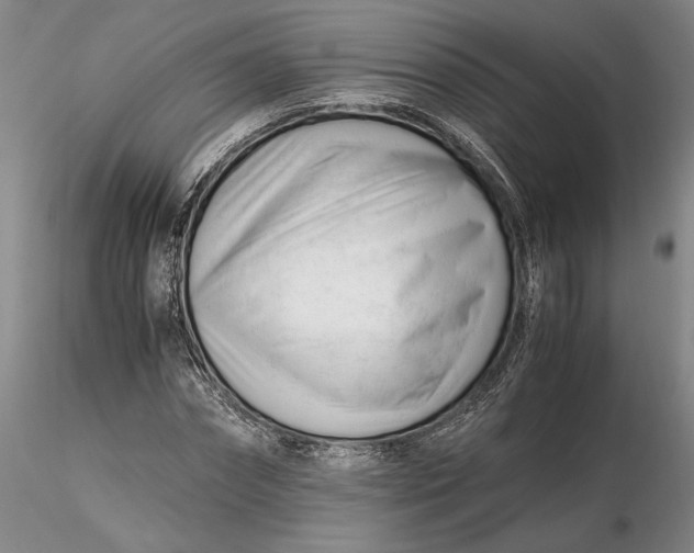 X0000116260874200912211734