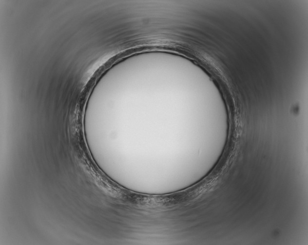 X0000116260875200912211734