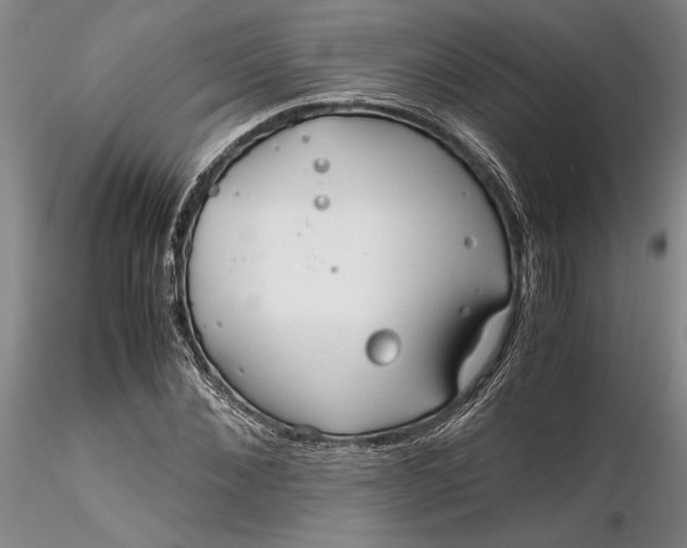 X0000116260876200912211734