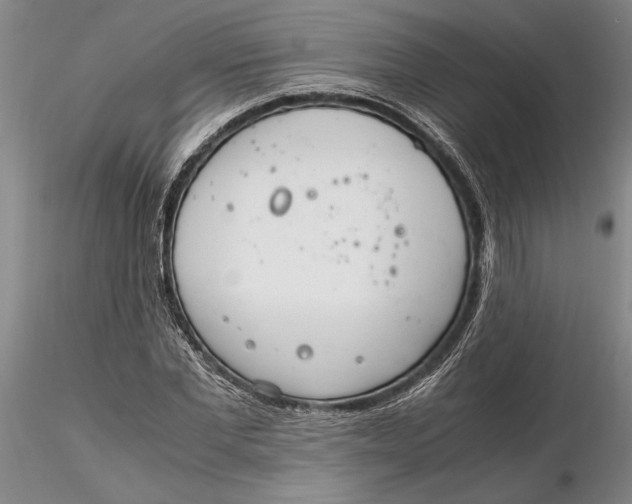 X0000116260877200912211734