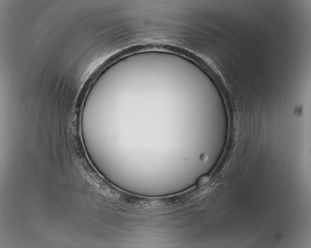 X0000116260879200912211734