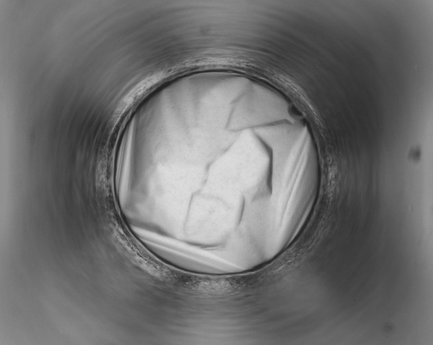 X0000116260882200912211734
