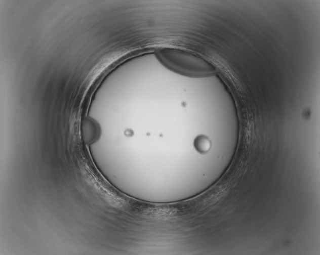 X0000116260884200912211734