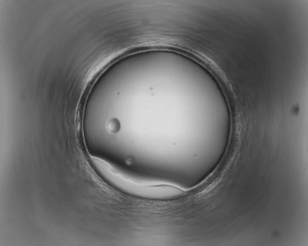 X0000116260885200912211734