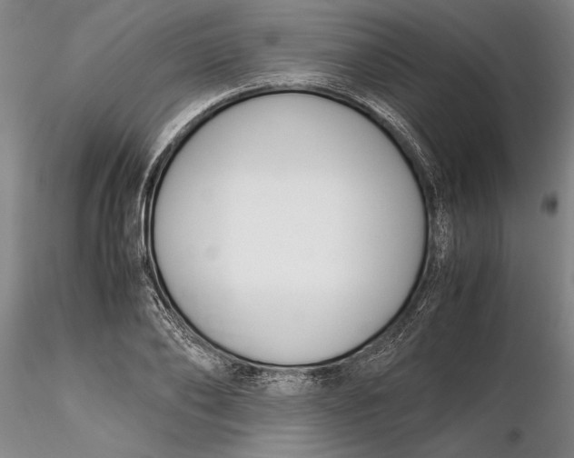 X0000116260886200912211734